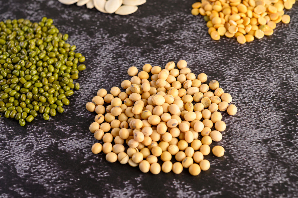 Soy Protein for Muscle Building: A Plant-Powered Solution
